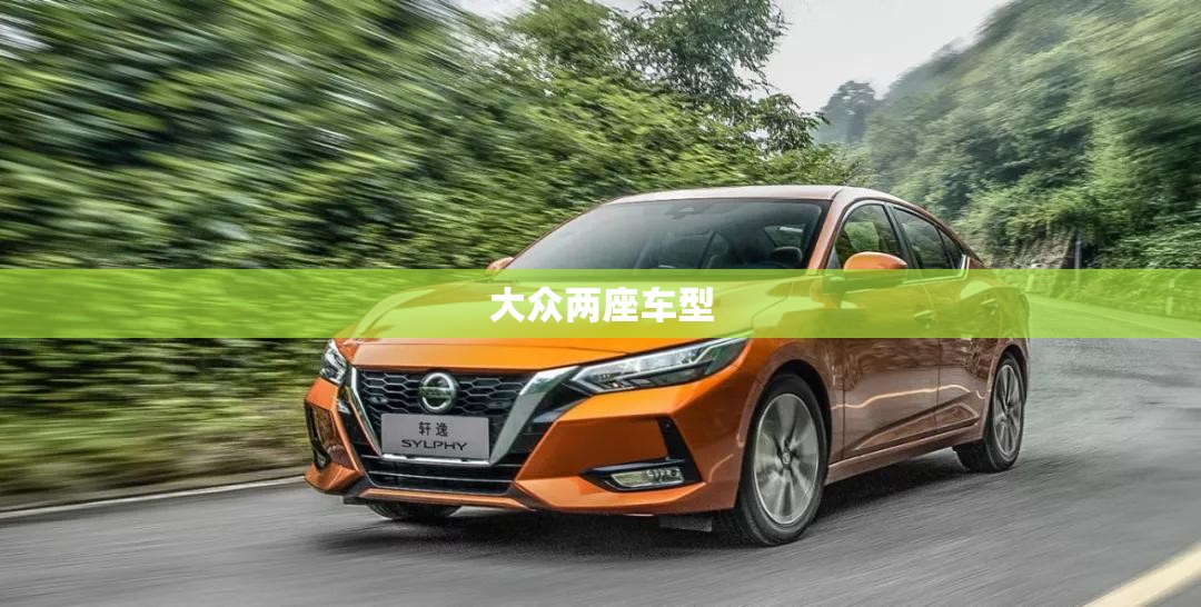 大众两座车型(大众两座车型报价)