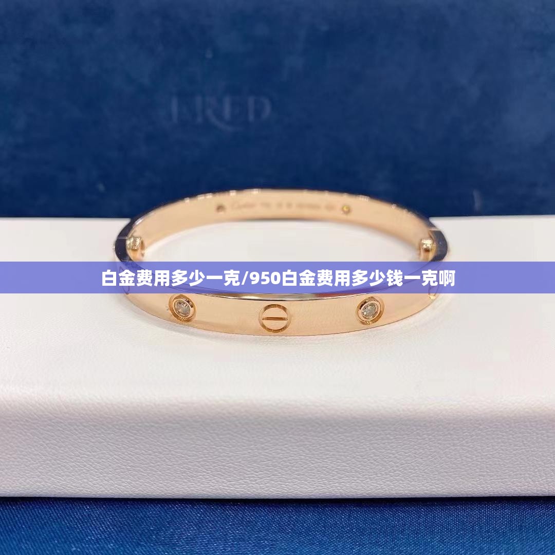 白金费用多少一克/950白金费用多少钱一克啊 白金费用多少一克/950白金费用多少钱一克啊