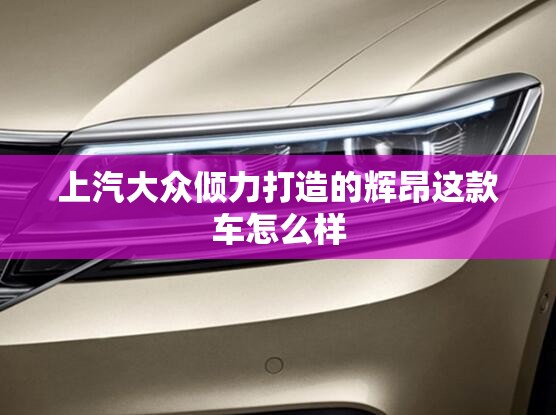 上汽大众倾力打造的辉昂这款车怎么样 上汽大众倾力打造的辉昂这款车怎么样