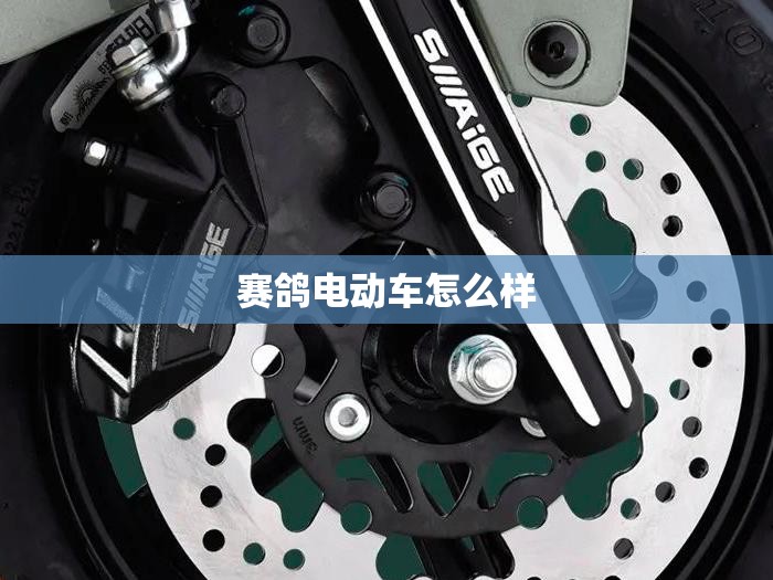 赛鸽电动车怎么样/赛鸽电动车怎么样看型号 赛鸽电动车怎么样/赛鸽电动车怎么样看型号