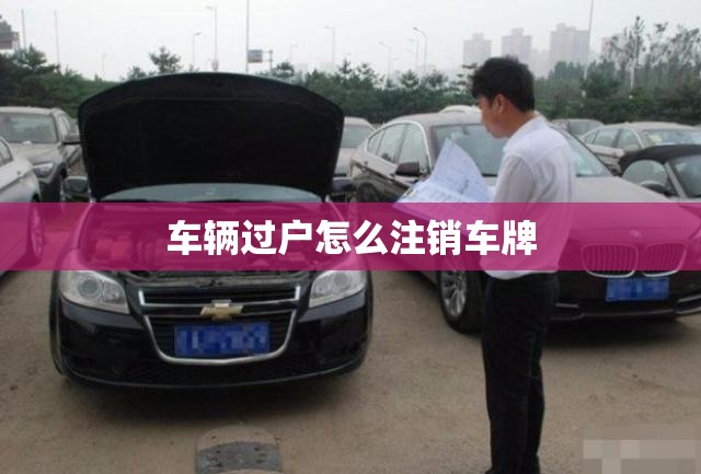 车辆过户怎么注销车牌/车子过户号牌怎么保留 车辆过户怎么注销车牌/车子过户号牌怎么保留