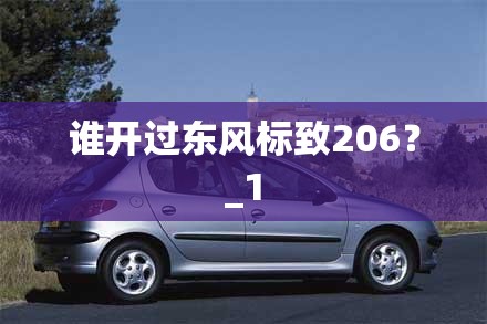 谁开过东风标致206?_1 谁开过东风标致206?_1