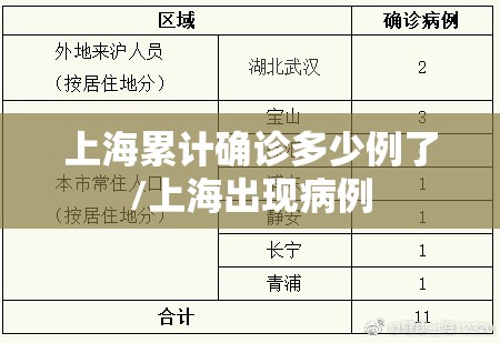 上海累计确诊多少例了/上海出现病例 上海累计确诊多少例了/上海出现病例