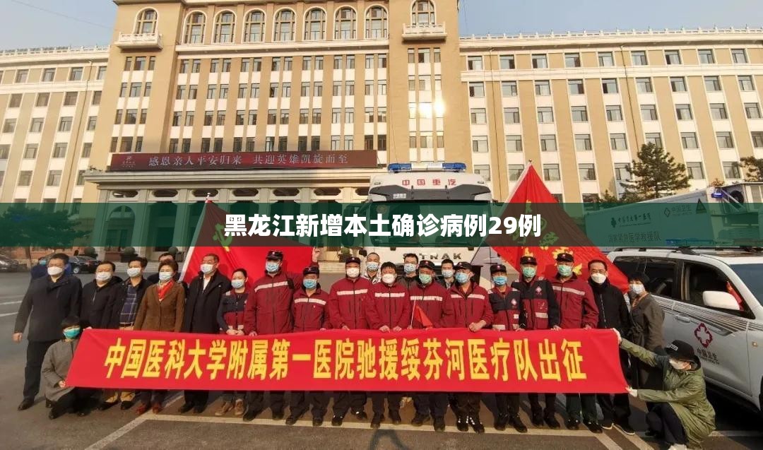 黑龙江新增本土确诊病例29例(黑龙江新型肺炎疫情实时) 黑龙江新增本土确诊病例29例(黑龙江新型肺炎疫情实时)