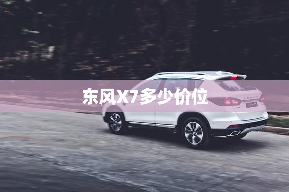 东风X7多少价位(东风x700) 东风X7多少价位(东风x700)