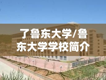 中国轴承网的网站简介 中国轴承网的网站简介