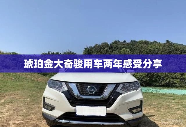 琥珀金大奇骏用车两年感受分享 琥珀金大奇骏用车两年感受分享