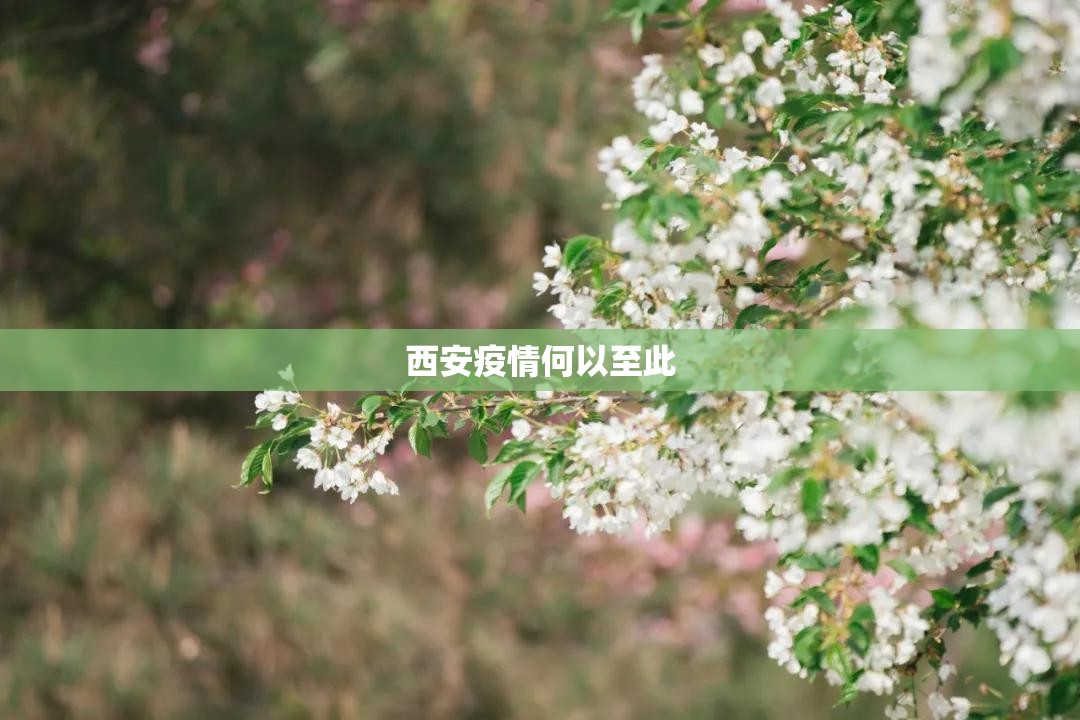 西安疫情何以至此/西安疫情封控时间 西安疫情何以至此/西安疫情封控时间