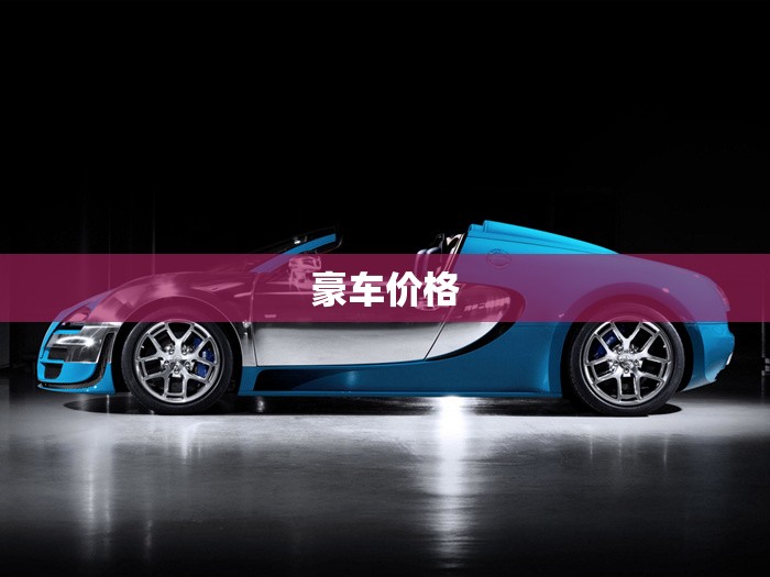 豪车费用/二手豪车费用