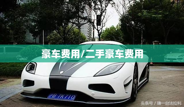 豪车费用/二手豪车费用