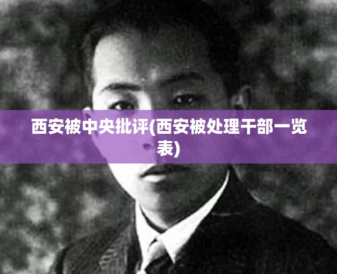 西安被中央批评(西安被处理干部一览表) 西安被中央批评(西安被处理干部一览表)