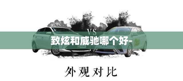 致炫和威驰哪个好-