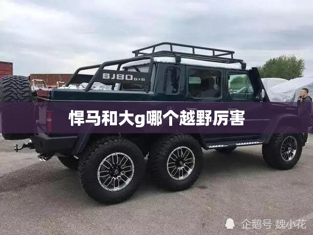 31省新增输入9例/31省新增9 25例 31省新增输入9例/31省新增9 25例
