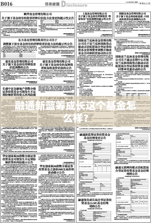 融通新蓝筹成长这个基金怎么样? 融通新蓝筹成长这个基金怎么样?
