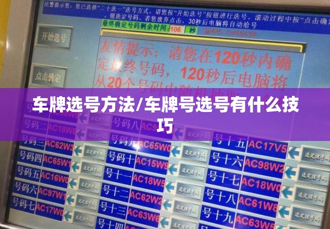 车牌选号方法/车牌号选号有什么技巧