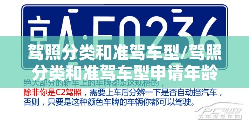 驾照分类和准驾车型/驾照分类和准驾车型申请年龄 驾照分类和准驾车型/驾照分类和准驾车型申请年龄