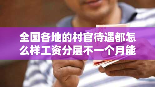 全国各地的村官待遇都怎么样工资分层不一个月能达到3000吗最少会是多少险金之类的保险得交多少 全国各地的村官待遇都怎么样工资分层不一个月能达到3000吗最少会是多少险金之类的保险得交多少