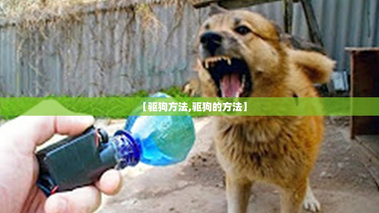 【驱狗方法,驱狗的方法】