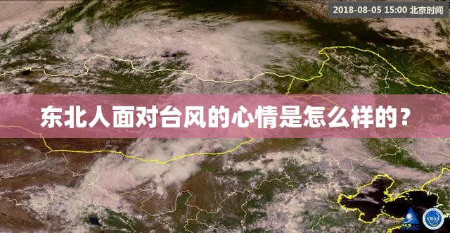 东北人面对台风的心情是怎么样的？