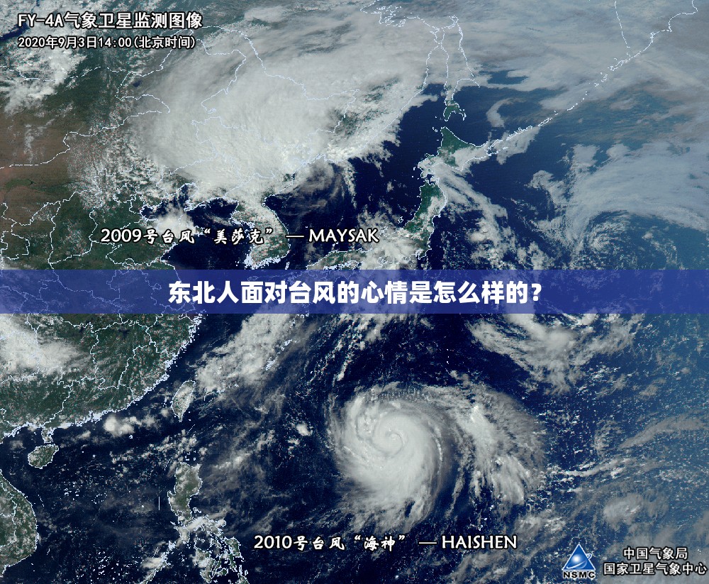 东北人面对台风的心情是怎么样的？