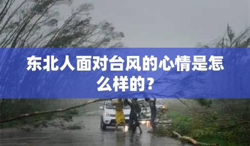 东北人面对台风的心情是怎么样的？