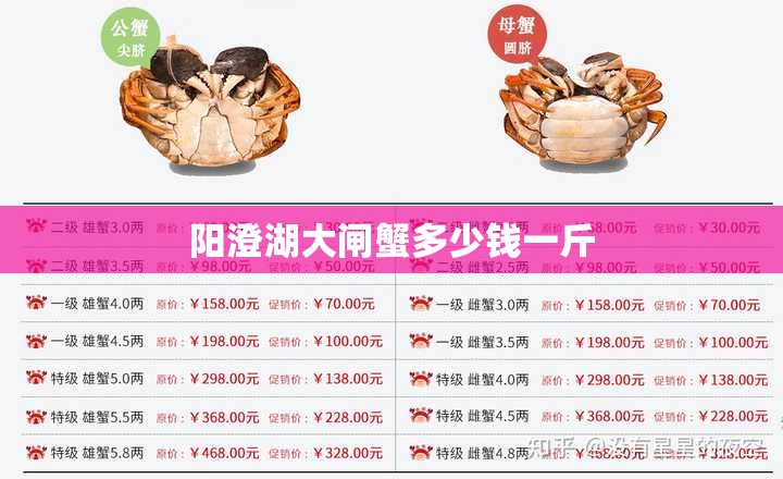 阳澄湖大闸蟹多少钱一斤 阳澄湖大闸蟹多少钱一斤
