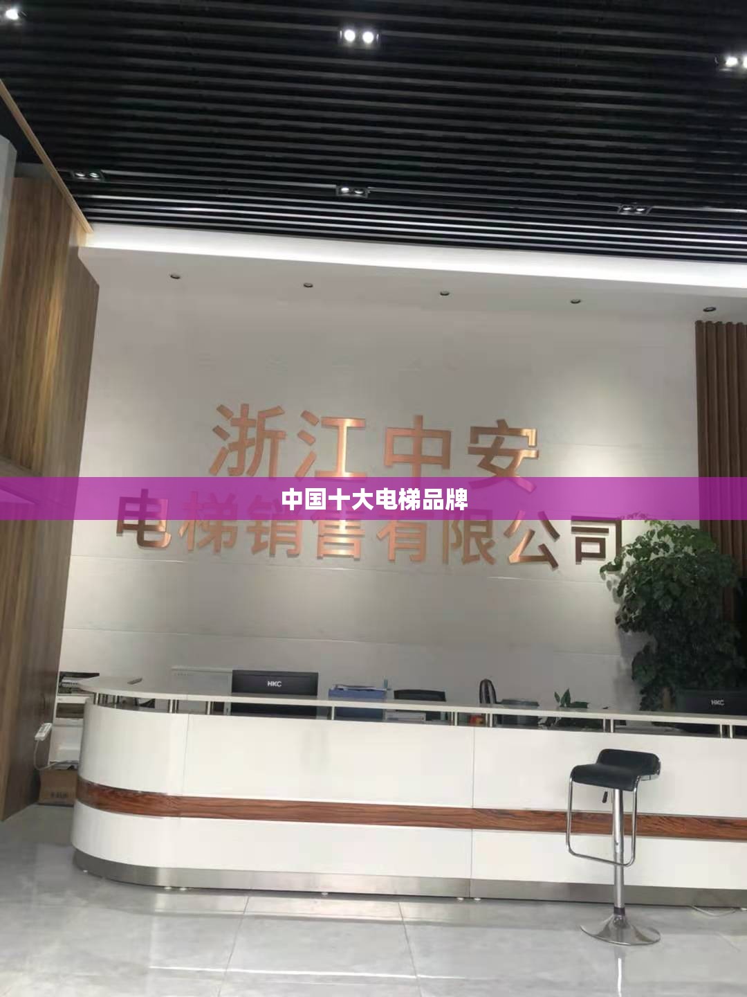 中国十大电梯品牌 中国十大电梯品牌
