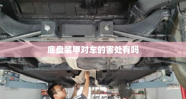底盘装甲对车的害处有吗 底盘装甲对车的害处有吗