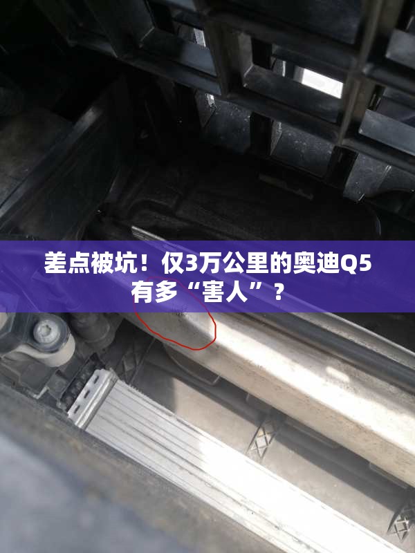 玩家辅助神器“天翔棋牌五常填大坑怎样开挂”开挂(透视)辅助教程