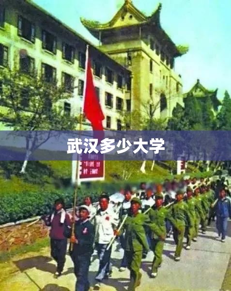 【武汉多少大学,湖北有多少所大学】