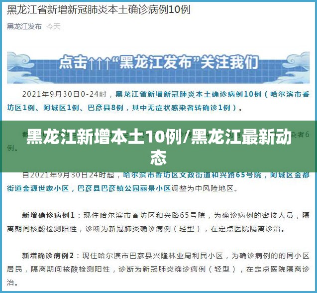 黑龙江新增本土10例/黑龙江最新动态