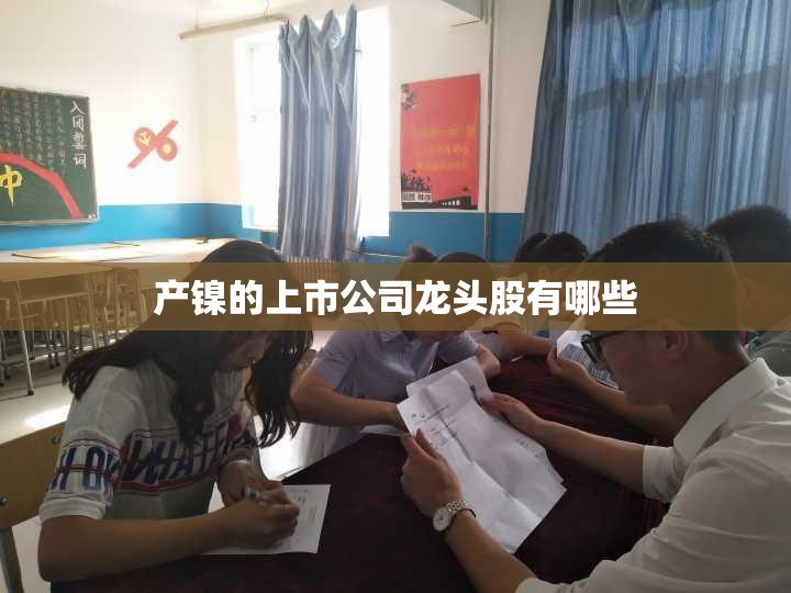 产镍的上市公司龙头股有哪些 产镍的上市公司龙头股有哪些