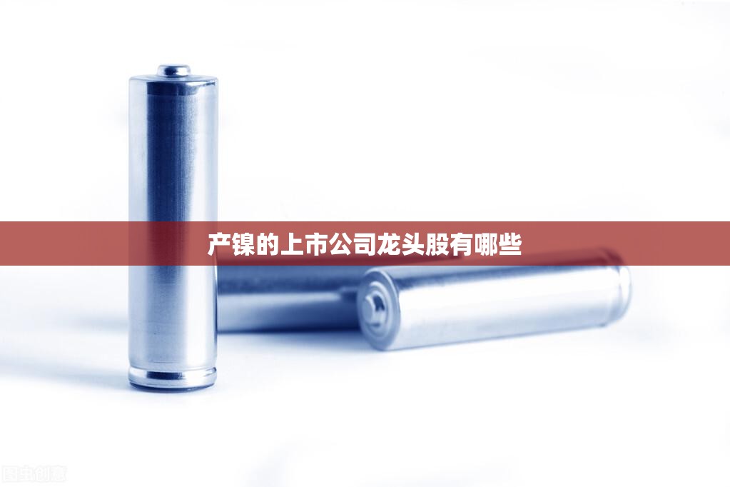 产镍的上市公司龙头股有哪些 产镍的上市公司龙头股有哪些