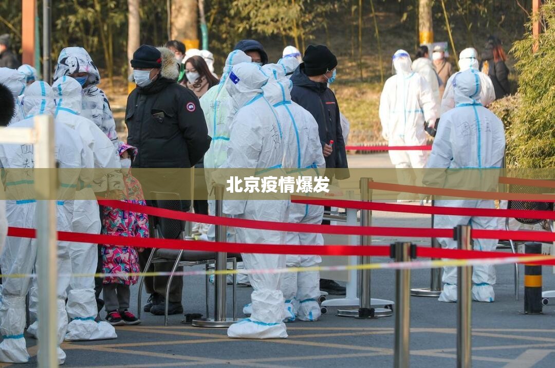 包含北京疫情爆发的词条