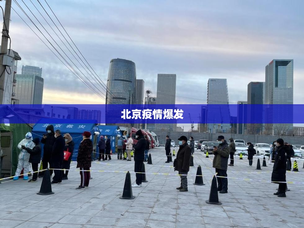 包含北京疫情爆发的词条