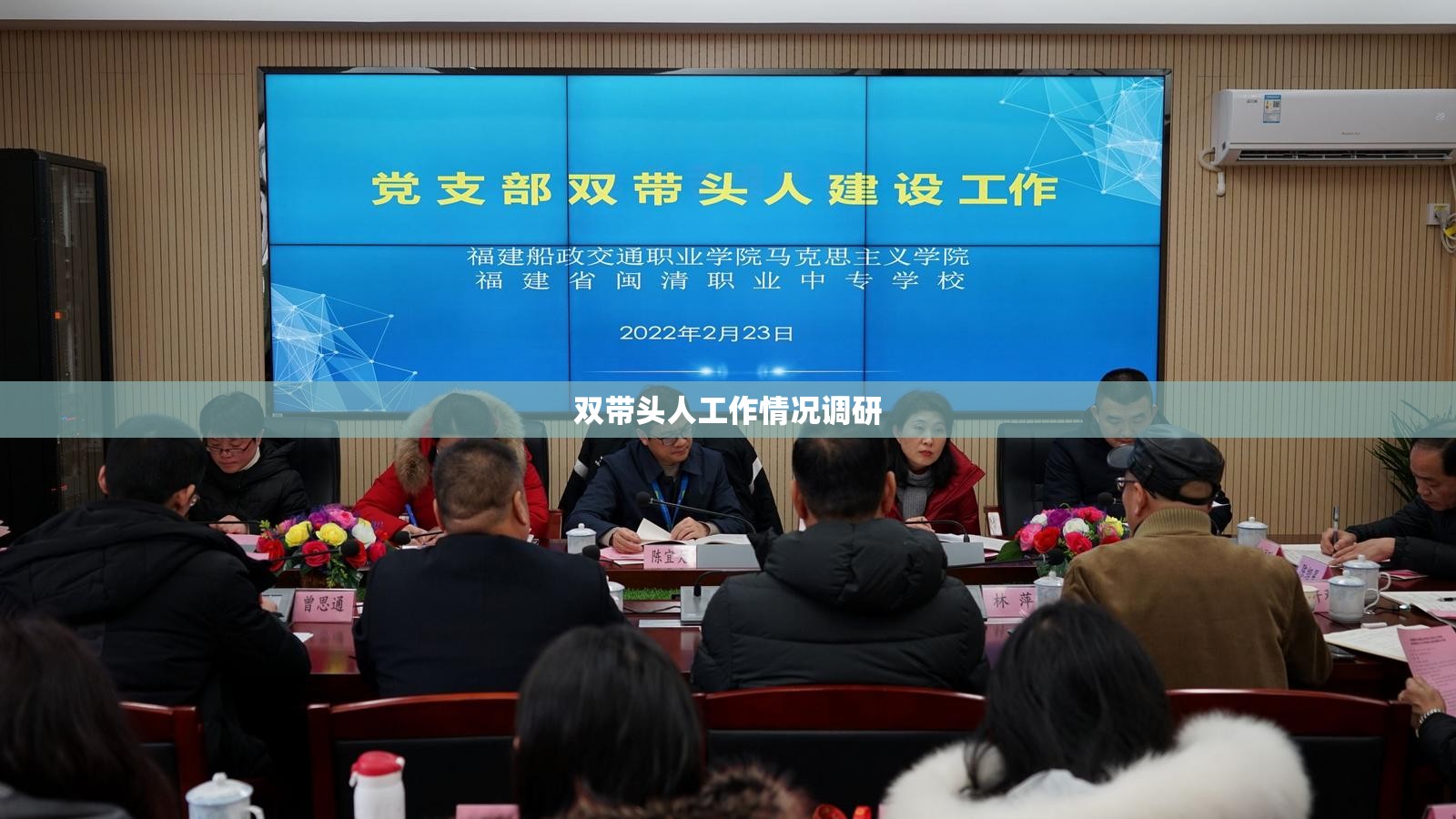 双带头人工作情况调研/双带头人队伍建设