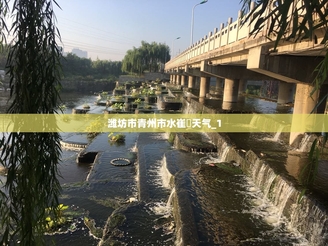 潍坊市青州市水崔厓天气_1
