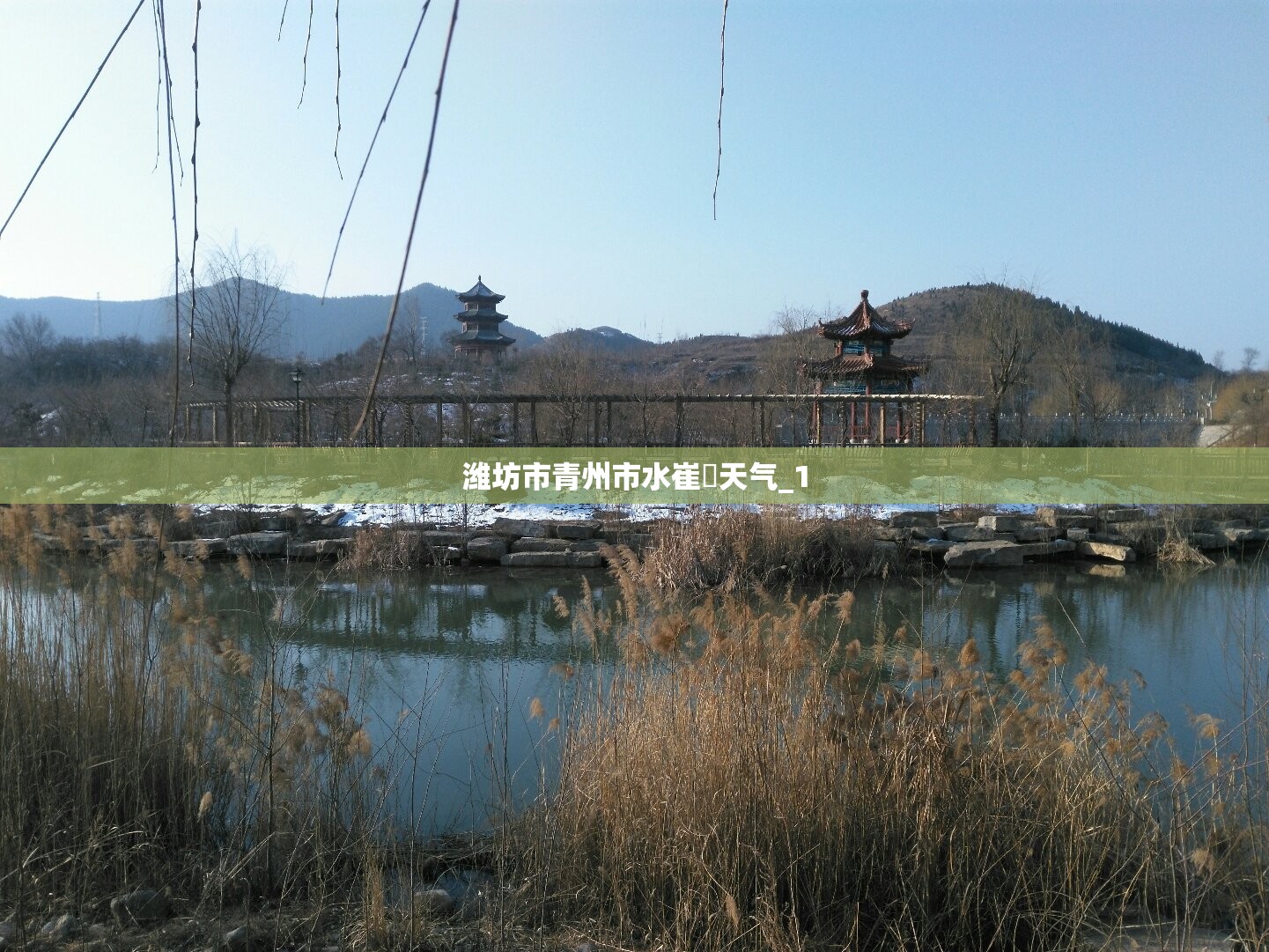 潍坊市青州市水崔厓天气_1