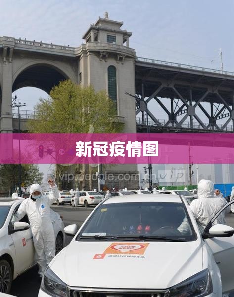 新冠疫情图/新冠疫情图实时更新
