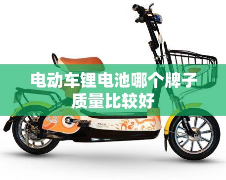 电动车锂电池哪个牌子质量比较好 电动车锂电池哪个牌子质量比较好