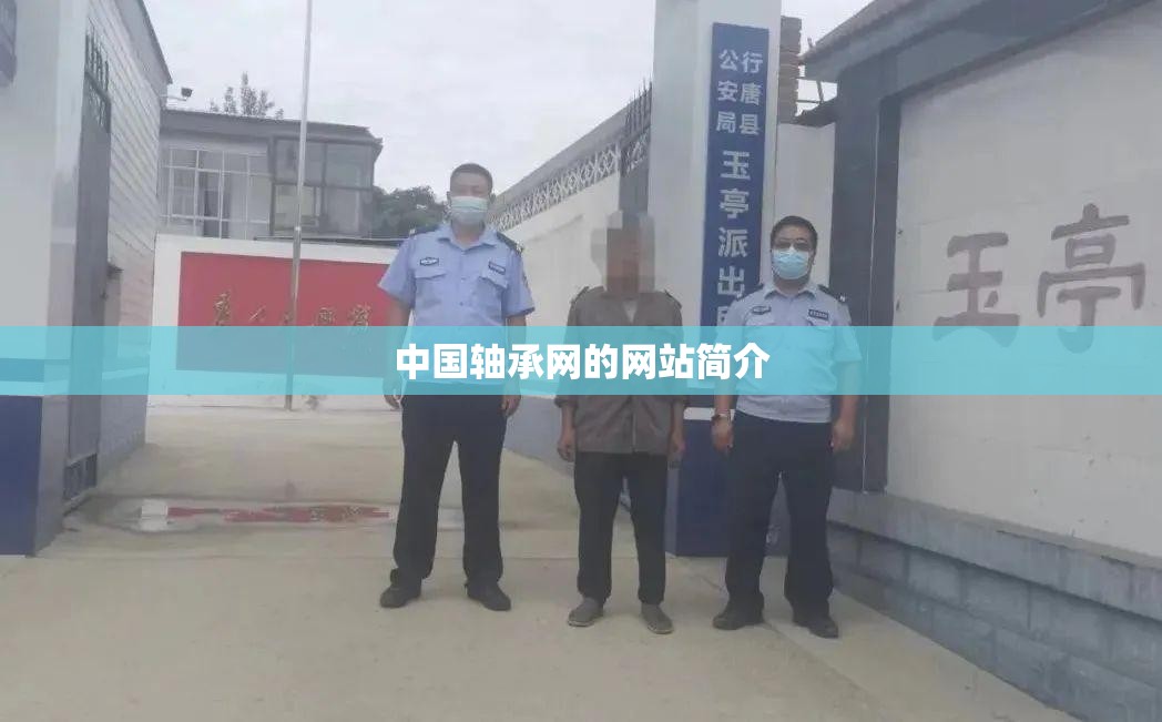 中国轴承网的网站简介 中国轴承网的网站简介