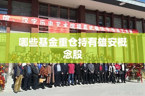 哪些基金重仓持有雄安概念股