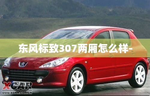 东风标致307两厢怎么样- 东风标致307两厢怎么样-