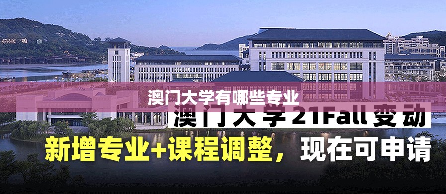 澳门大学有哪些专业(澳门大学有哪些专业比较好)