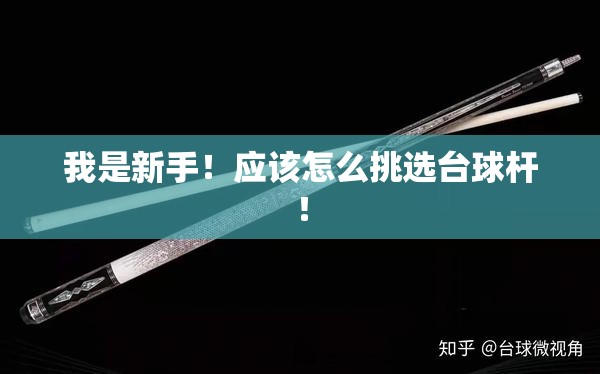 我是新手！应该怎么挑选台球杆！