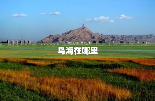 乌海在哪里/乌海在哪里属于什么省 乌海在哪里/乌海在哪里属于什么省