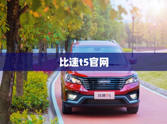 比速t5官网 比速t5官网