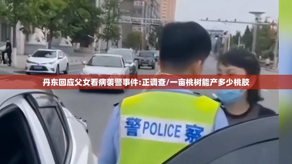 丹东回应父女看病袭警事件:正调查/一亩桃树能产多少桃胶 丹东回应父女看病袭警事件:正调查/一亩桃树能产多少桃胶