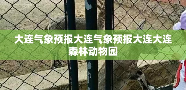 大连气象预报大连气象预报大连大连森林动物园 大连气象预报大连气象预报大连大连森林动物园