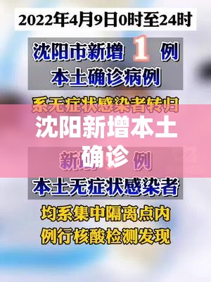 【沈阳新增本土确诊,沈阳新冠肺炎疫情】 【沈阳新增本土确诊,沈阳新冠肺炎疫情】